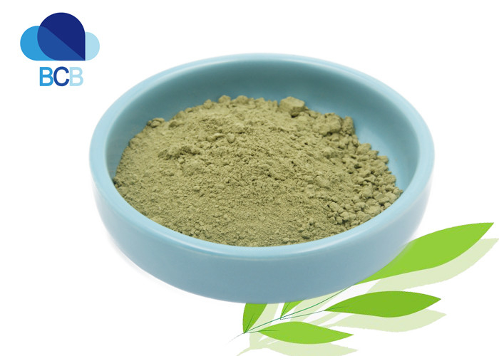 Weight Losing Senna Leaf Extract Powder Hplc 8% 20% Sennosides CAS 517-43-1